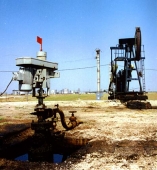 Petrol - 10004 Petrol